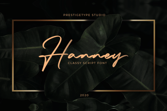 Hanney Font: A Sweet Script for Romantic Branding Projects