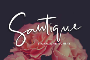 Santique Font: A Script Handwritten Typeface for Polished Branding